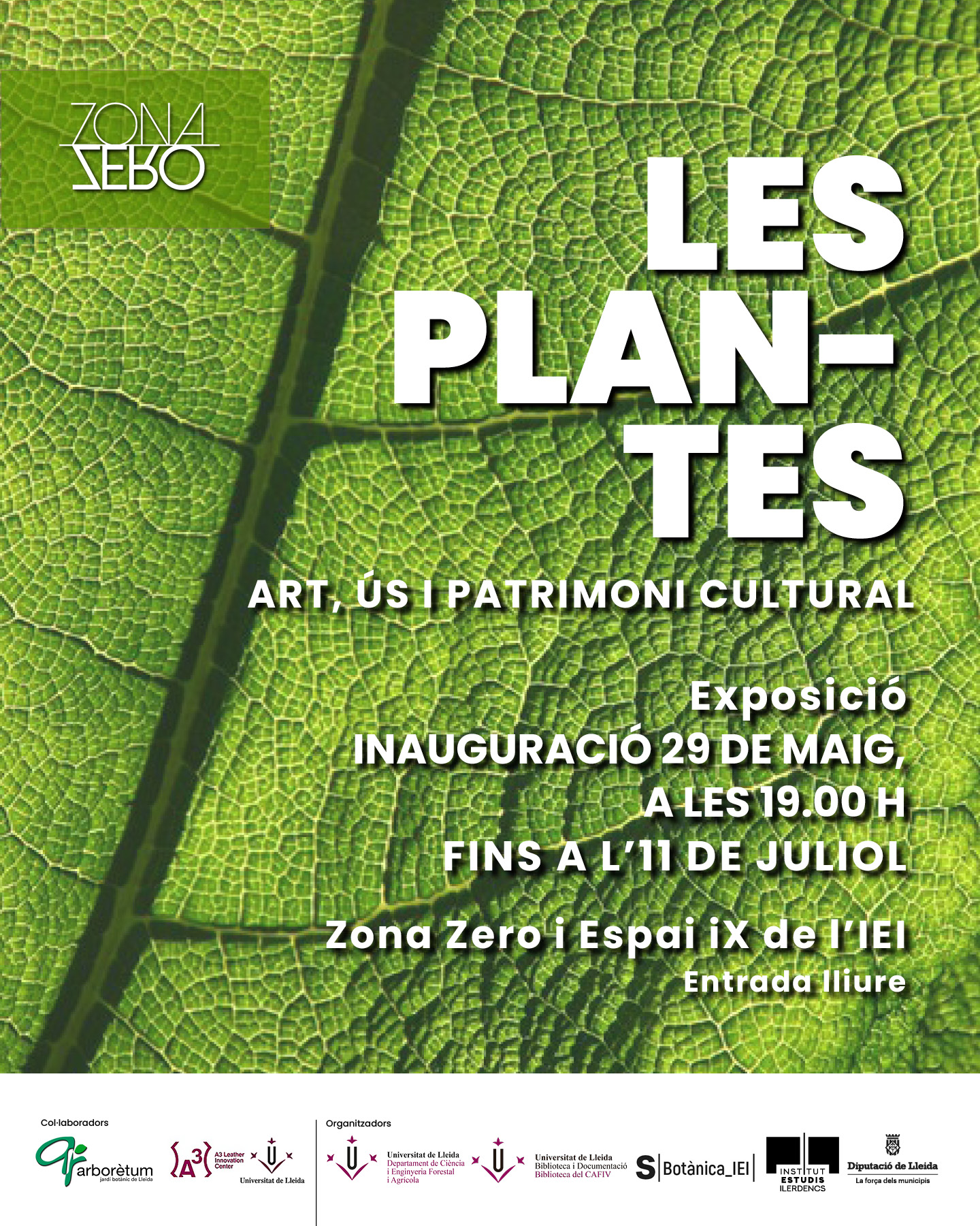 plantesexposicio
