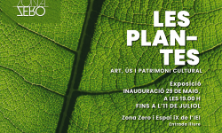plantesimatge1.jpg