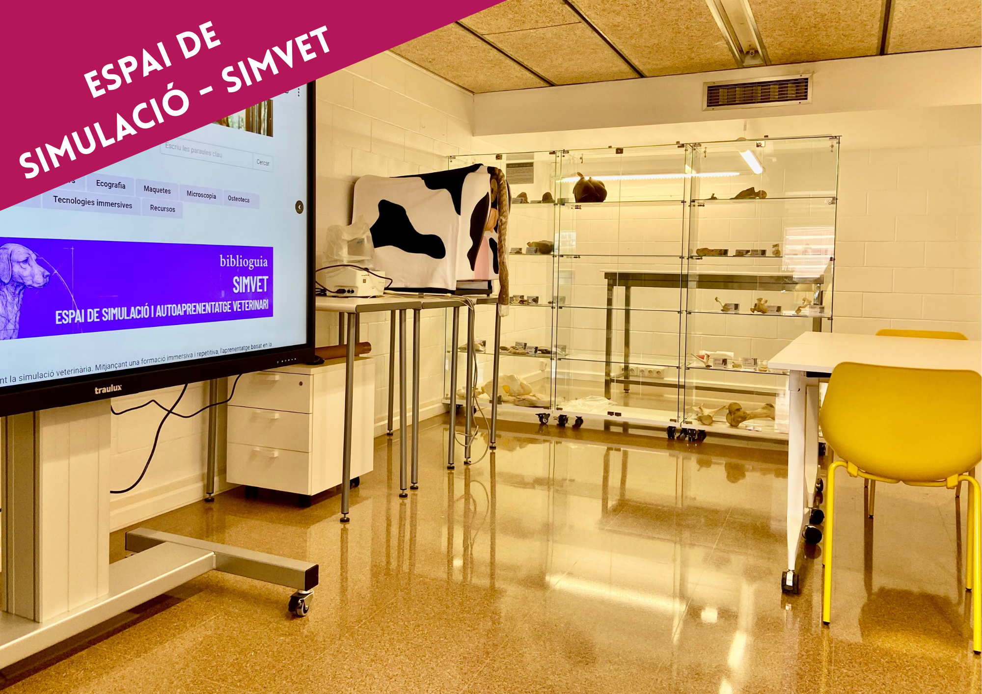 Espai SIMVET