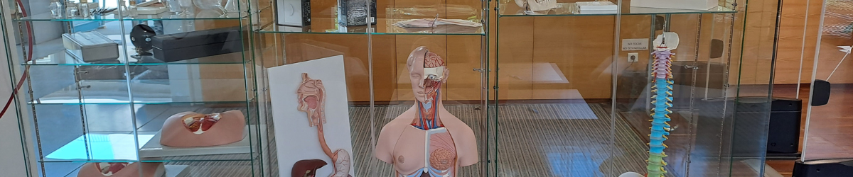 Préstamo de modelos anatómicos